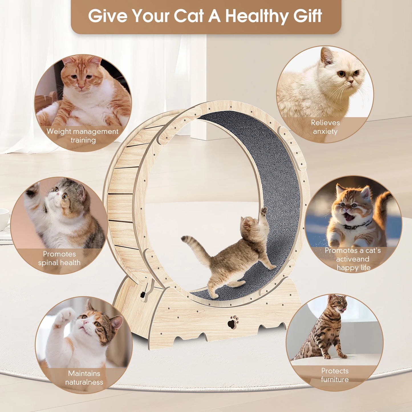 Cat Exercise Wheel, Cat Treadmill Wheel with Carpeted Runway for Daily Exercise, 37" Natural Wood Color