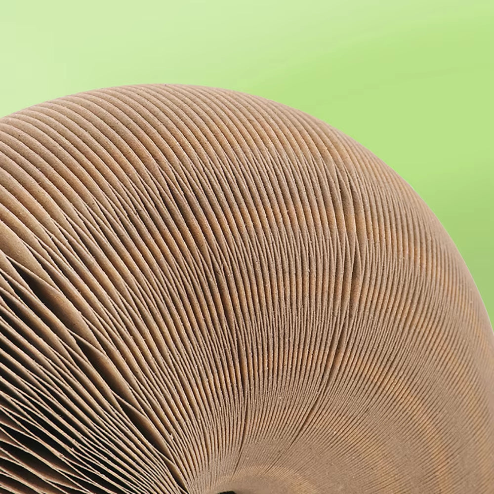 Cat Toys Ball Magic Organ Transformation, Corrugated Paper, Cat Scratching Board, High Density Paper