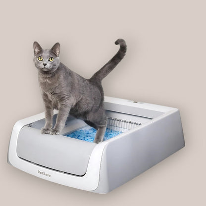 CleanPaws - Petsafe Scoopfree, Self-Cleaning Cat Litter Box, Automatic Litter Box Without Cover, Includes Disposable Crystal Litter Trays, Eliminates Odors, Health Monitoring, 2nd Generation